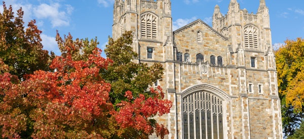 fall trees on campus