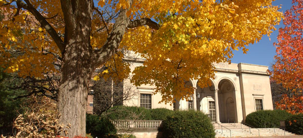 fall trees on campus