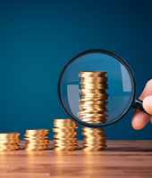 person holding magnifying glass in front of stacks of coins