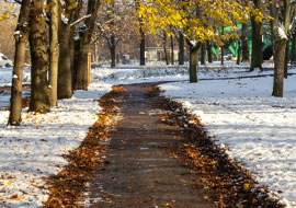 paved walking path in the winter