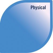 Model of Well-being with the physical petal highlighted