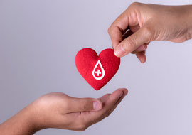 person holding a toy heart out to another hand