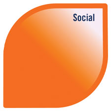 Model of Well-being with the social petal highlighted