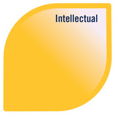 Model of Well-being with the intellectual petal highlighted