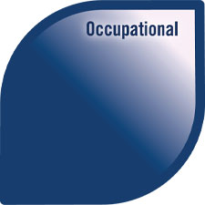 Model of Well-being with the occupational petal highlighted