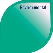 Model of Well-being with the Environmental petal highlighted