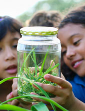kids outside looking in a jar filled with grass
