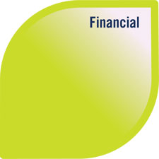 Model of Well-being with the finance petal highlighted