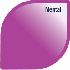 Model of Well-being with the mental health petal highlighted