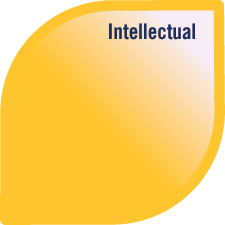 Model of Well-being Intellectual petal